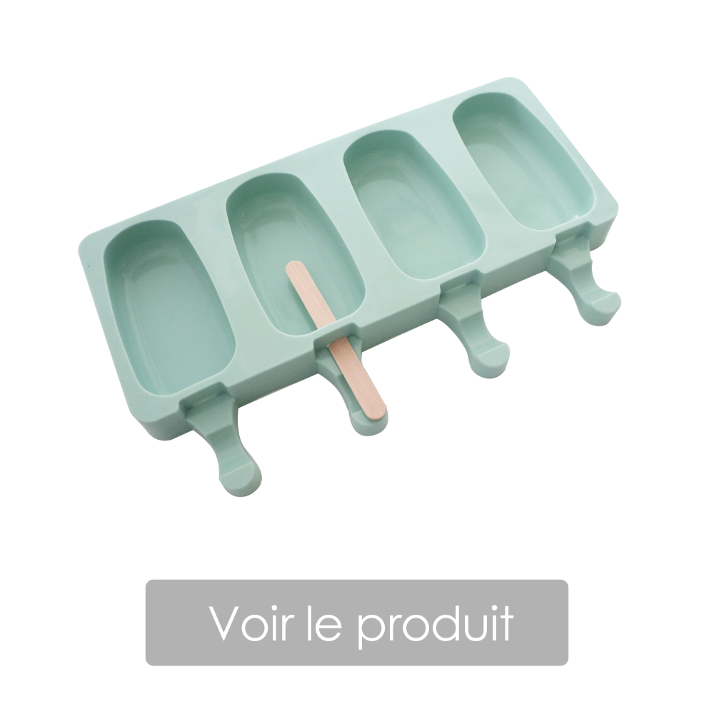 moule pour glace bâtonnet